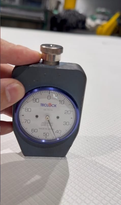 Tấm Eva Nguyên Sinh 2