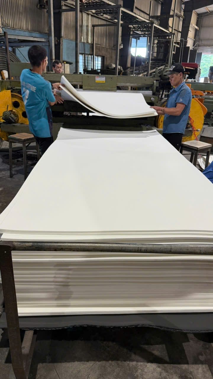 Tấm EVA Cứng 55 -70 Shore Cho Ngành Bào Bì Định Hình - Dược Phẩm - Thời Trang