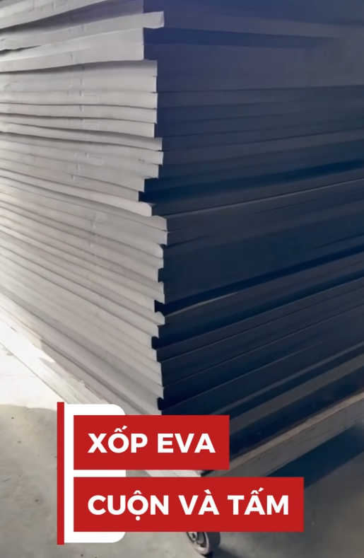 TẤm Eva - CuỘn Eva