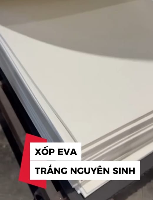 TẤm Eva TrẮng