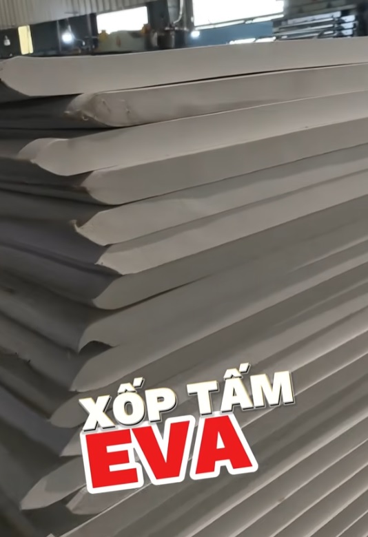 Eva Foam