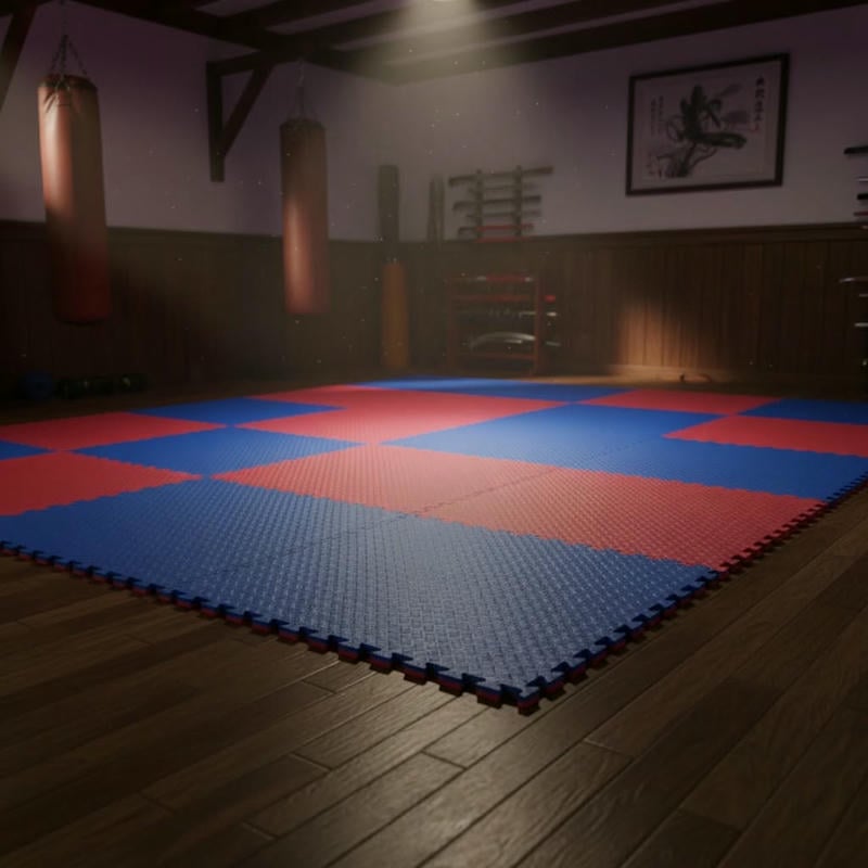 Thảm Tập Thể Thao - Tập Gym 3