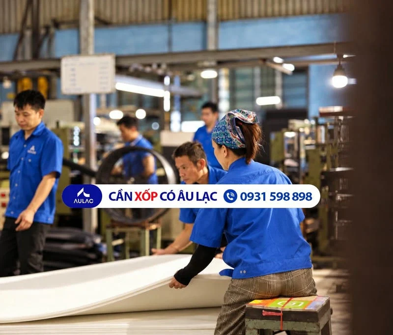 Nên chọn EVA hay PE foam cho đóng gói chống va đập