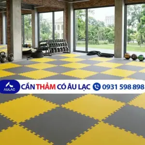 Thảm Thể Thao - Võ Thuật - Gym 1Mx1Mx30Cm 2 Mặt 2 Màu - Chịu Lực Tốt 2