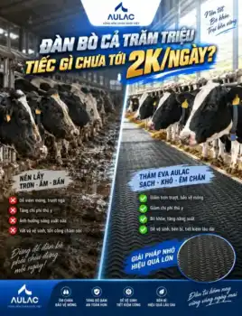 Xốp Eva Cho Trang Trại Bò